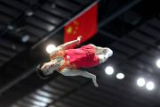 全国蹦床冠军赛：严浪宇获男子网上个人冠军