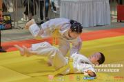 上海市第四届市民运动会柔术精英冠军赛落幕