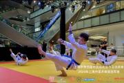 上海市第四届市民运动会柔术精英冠军赛落幕