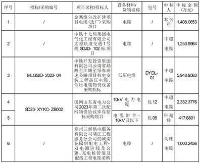 江苏中超控股股份有限公司关于中标的提示性公告