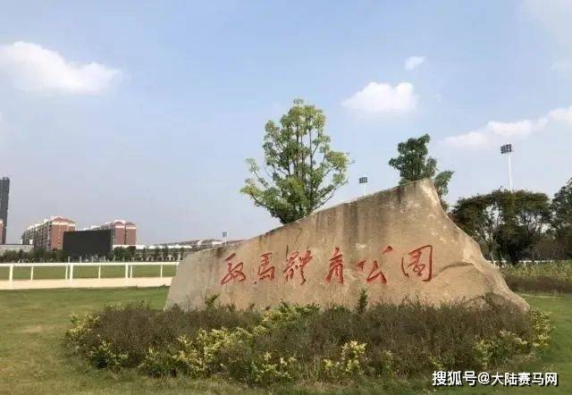 武汉商学院将举办2023年中国马术场地障碍青少年冠军杯赛