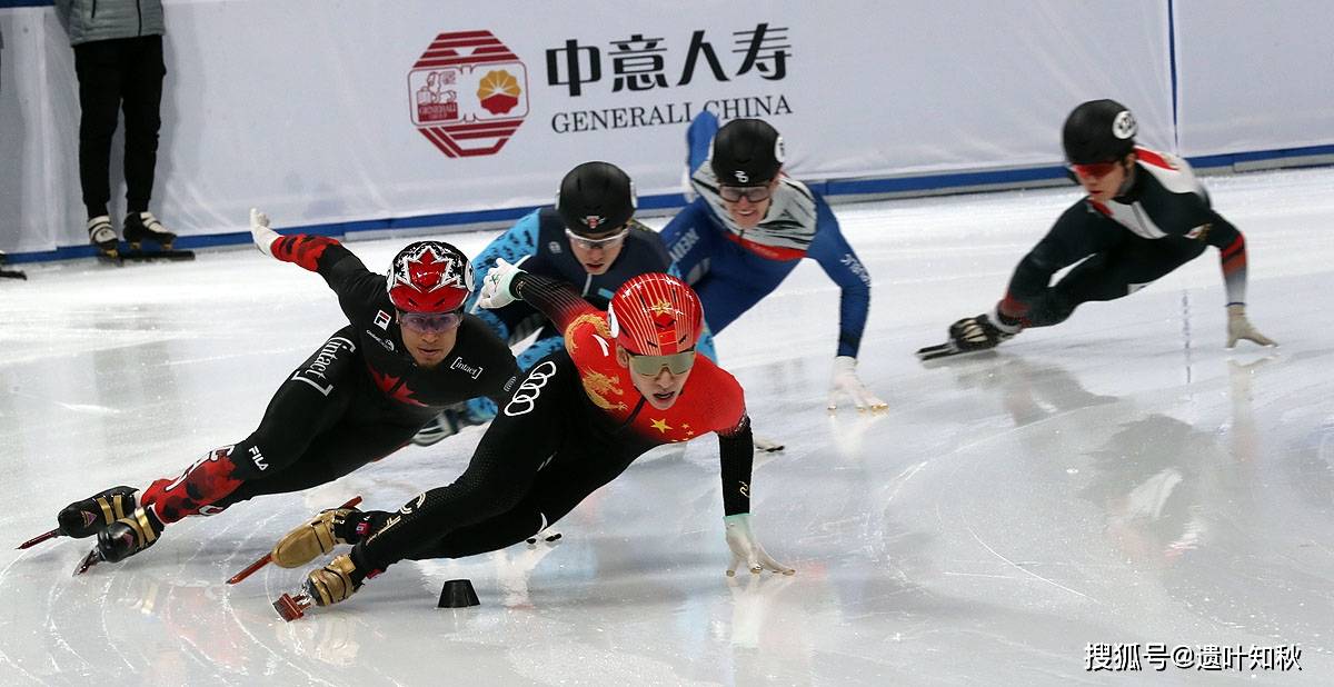 短道速滑世界杯北京站首日 中国选手悉数亮相女队3000米接力遭淘汰