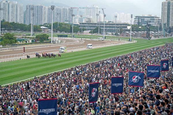 香港赛马国际赛开跑 中国香港队夺三项冠军