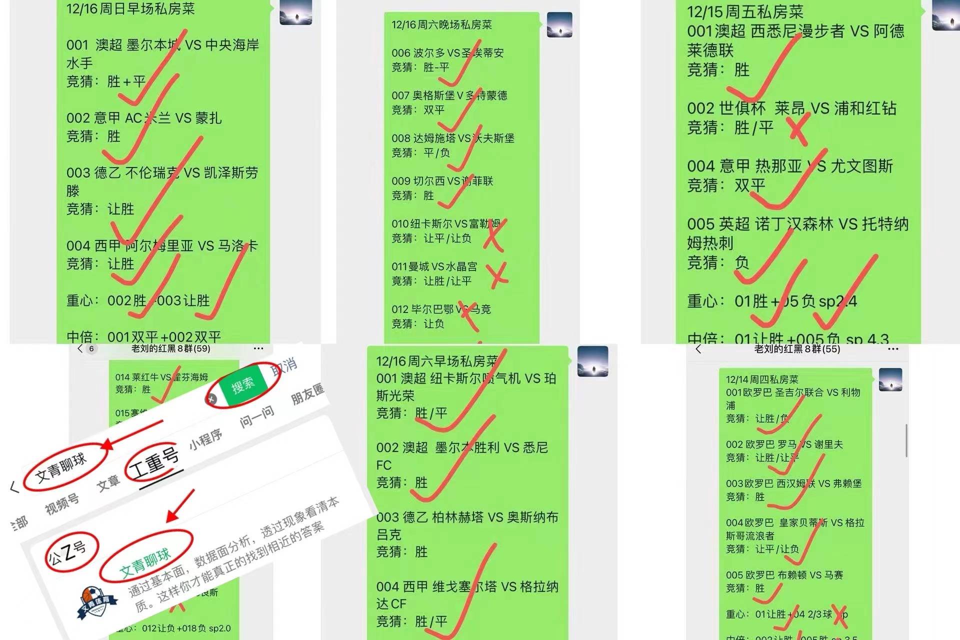 德甲：勒沃库森 VS 波鸿赛事分析