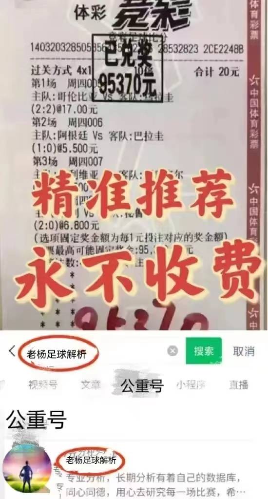 1.24 002 德甲巅峰对决！拜仁慕尼黑迎战柏林联合