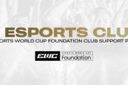 电竞世界杯基金会公布支持计划参与名单，多家中国俱乐部在列